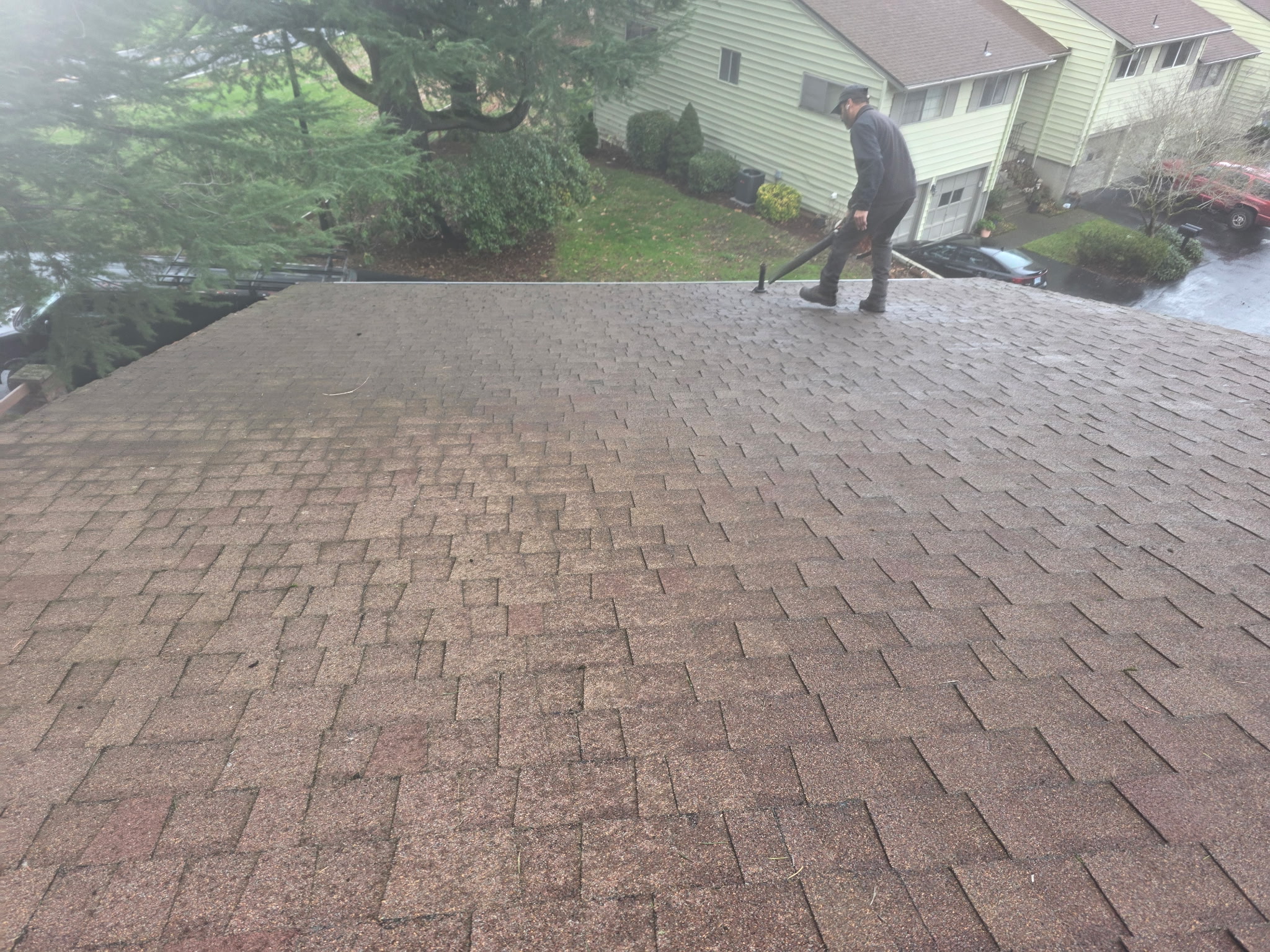 After: Clean roof and cleared gutters